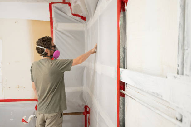 Reliable Remsen, IA Mold Removal Solutions