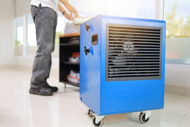Best Dehumidification Services  in Remsen, IA