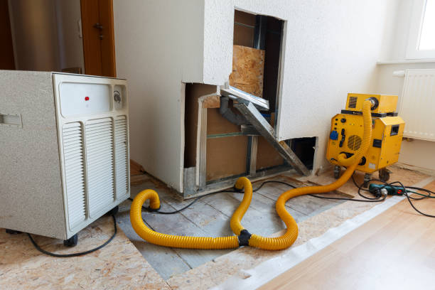 Best Industrial Mold Remediation  in Remsen, IA