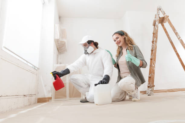 Best Crawl Space Mold Remediation  in Remsen, IA
